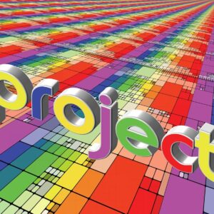 Diplomado en Gestión de Proyectos con Microsoft Project