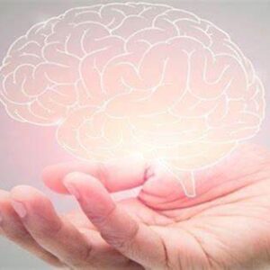 Neuroeducación