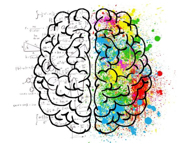 Diplomado en Neuroeducación.